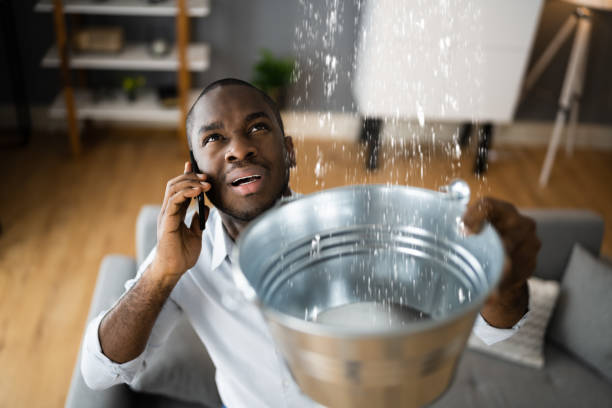 Best 24-hour water damage restoration  in Gold Bar, WA