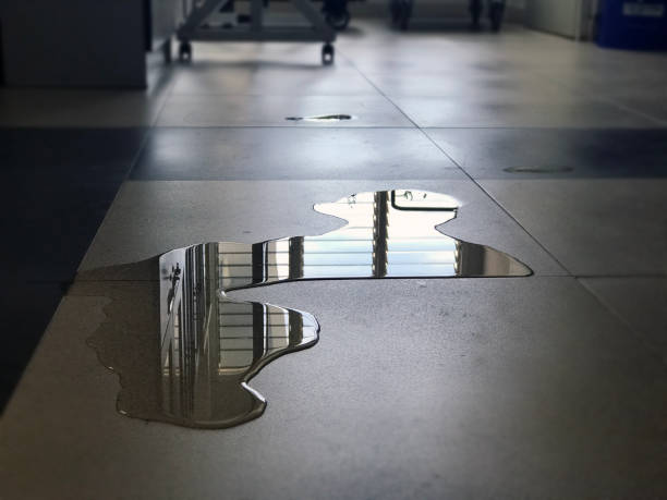 Best Sewage cleanup and water damage restoration  in Gold Bar, WA