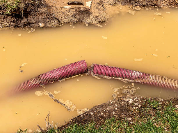 Best Commercial water damage restoration  in Gold Bar, WA